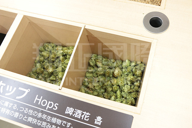 麒麟啤酒參訪